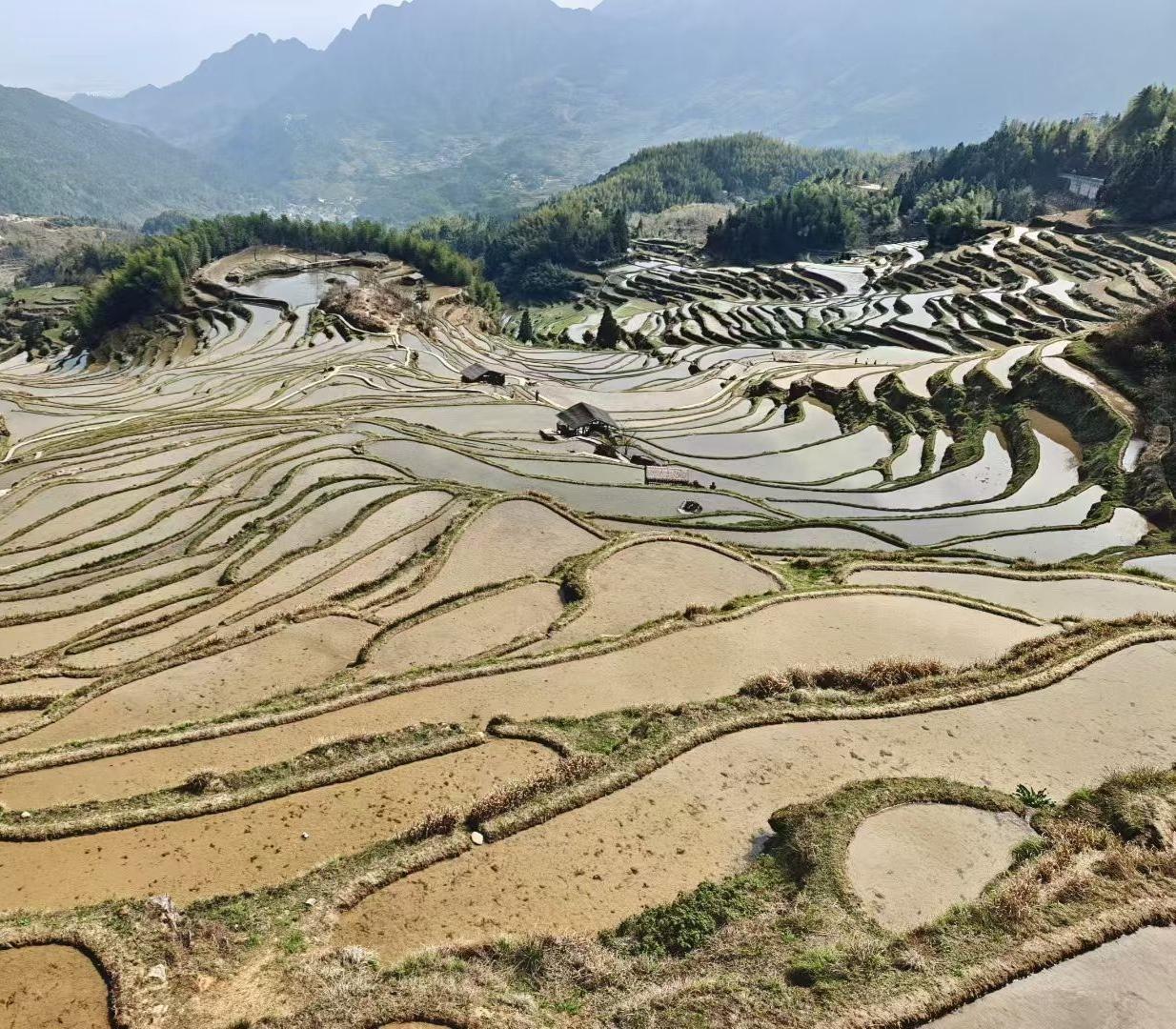 分享最美的梯田梯田如大地的褶皱，盛着清亮的水，在山影间铺展成层层叠叠的镜子，把远
