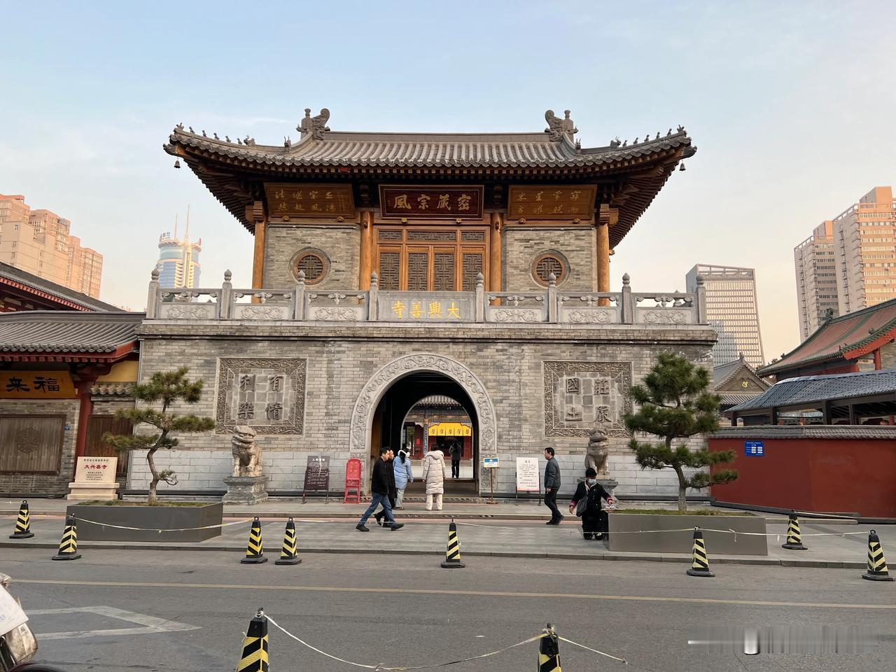 2025年1月3日。实拍，西安大兴善寺，腊梅花开了，飞翔的鸽子！走进来，就闻到满