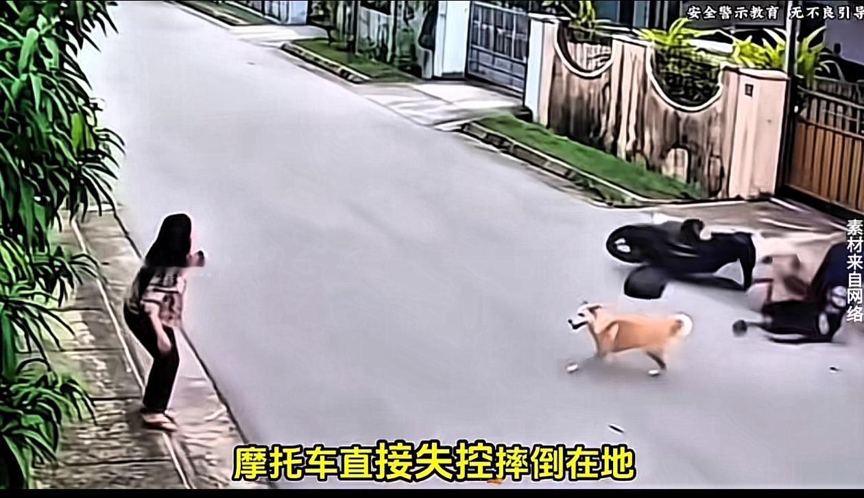 刷到该视频，终于明白好多人为什么养狗？一位女人背着包快到家门口，突然两个年轻男子