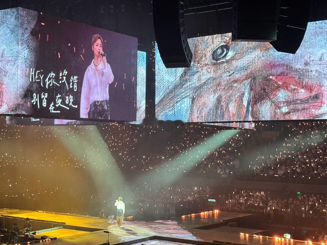 李宇春演唱会背景是张子枫的画 李宇春唱到副歌的时候，身后张子枫的画被灯光打得格外