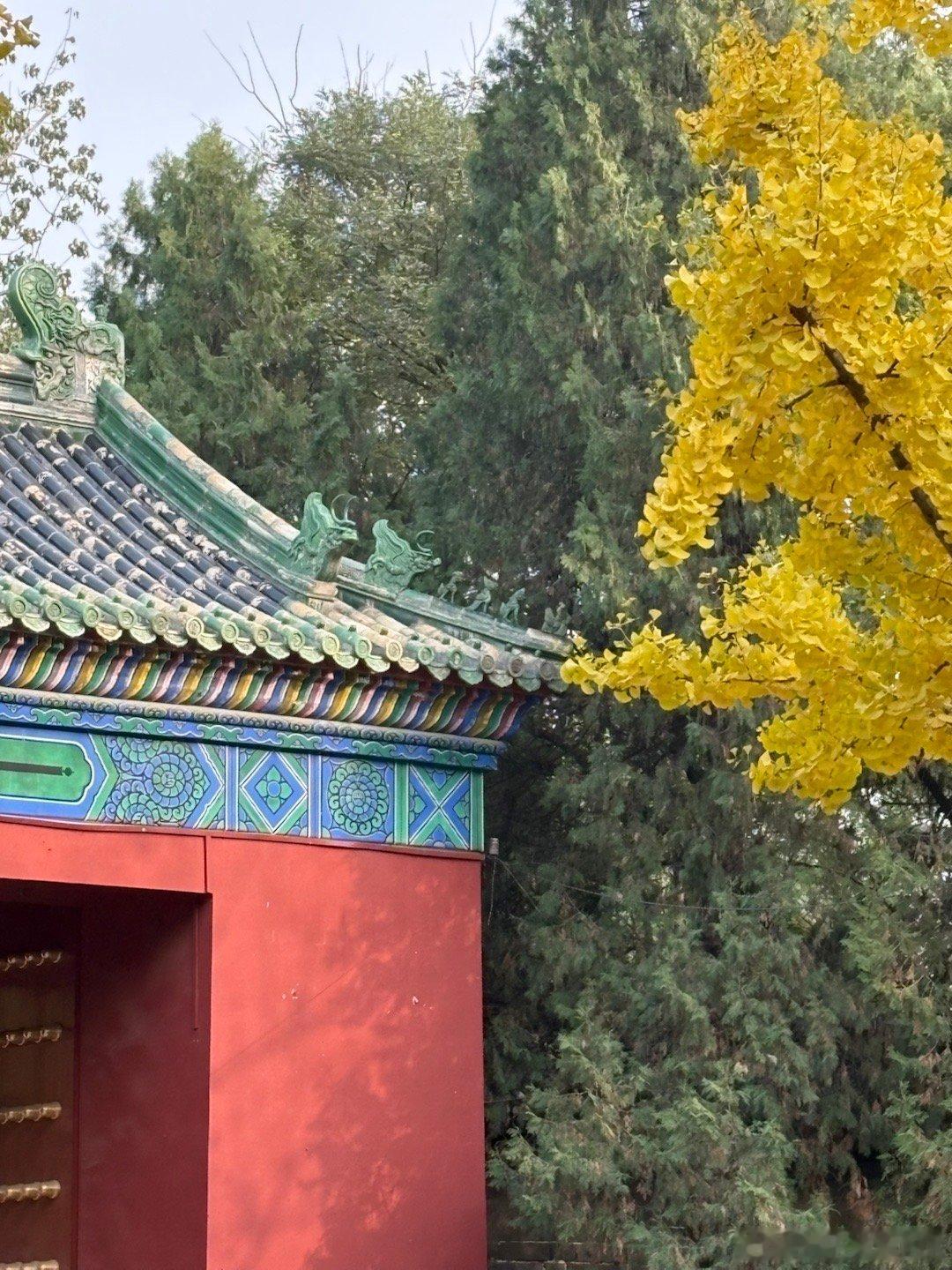 地坛西门 摄影用镜头定格北京最美之秋 ​​​