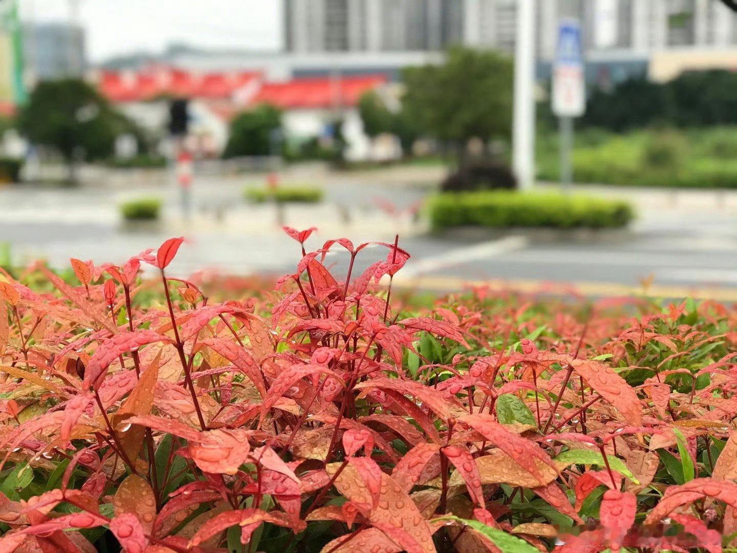 有些美是时间和空间过滤的结果。 