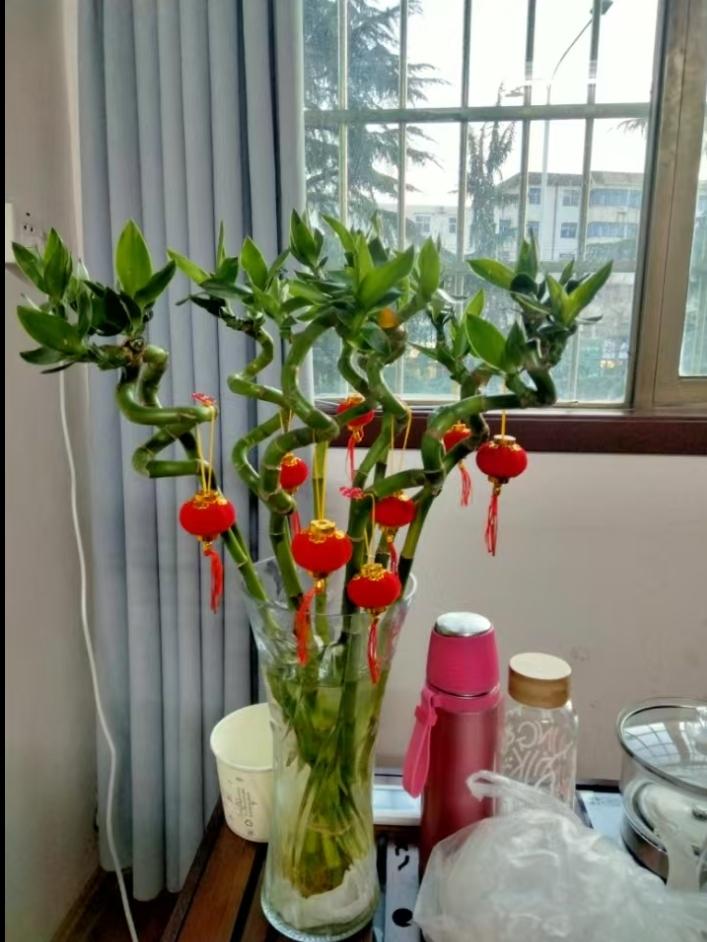 你怎么认为
命由己造，相由心生
我特别认同这句话，人的日子和模样，都是自己一点点