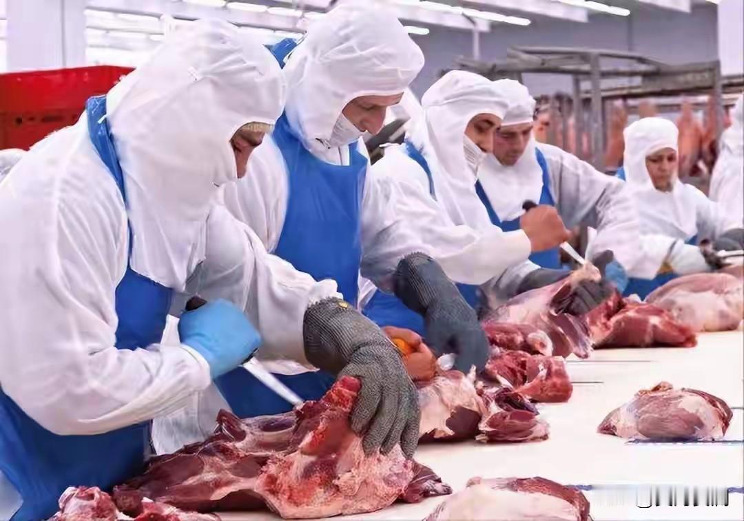 中国商务部宣布，自2025年12月17日起，对原产于欧盟的进口猪肉及猪副产品征收