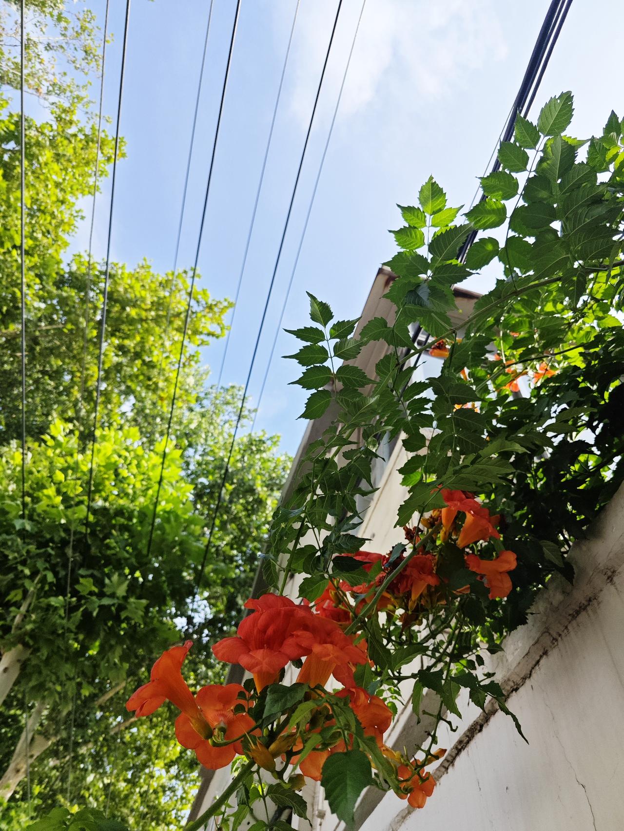 对于我来说，最大的问题就是皮肤问题。因为我对紫外线过敏，稍微一晒，皮肤就会红肿，