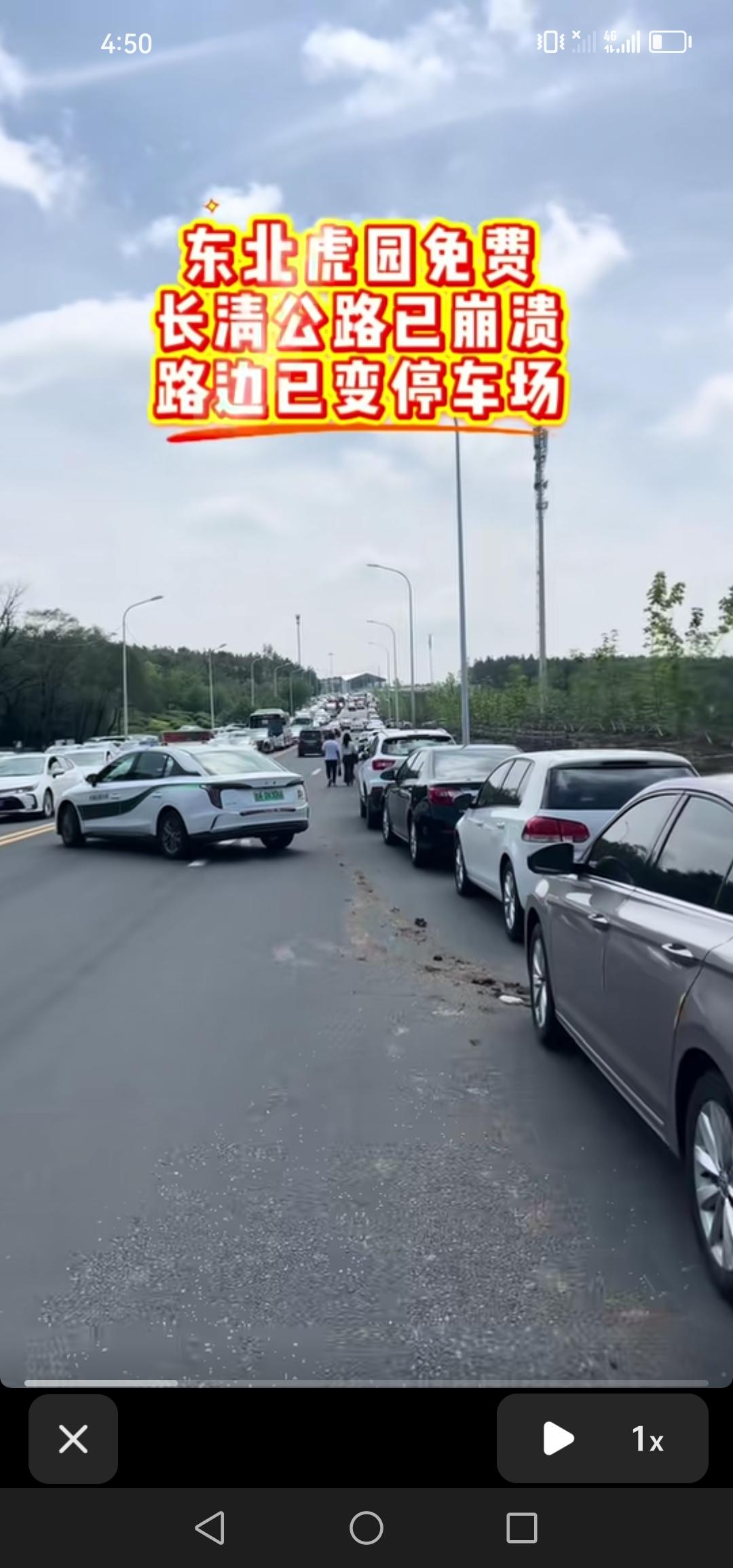 5月19号，长春市东北虎园今日免费开放，前来游玩的人络绎不绝，路边都成了停车场。