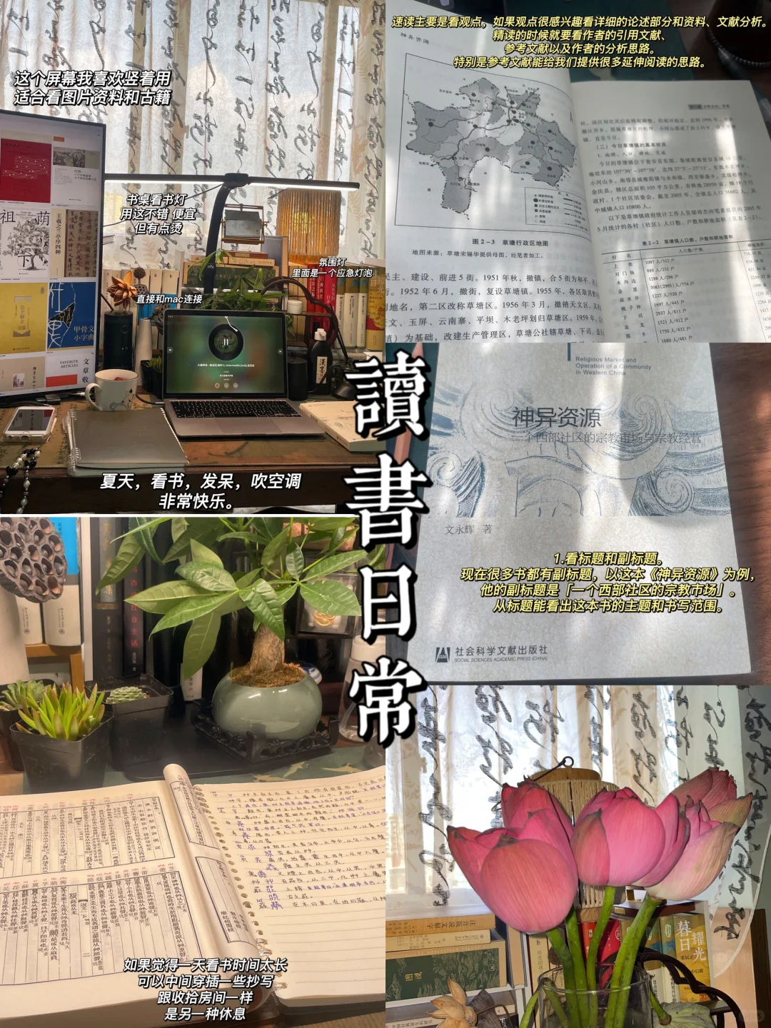 读书PLOG｜如何速读一本历史学书籍🍃