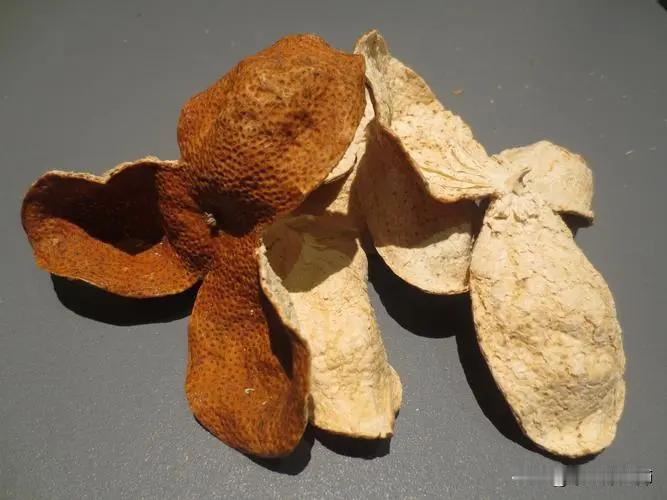 世上本无病，只是痰和瘀，送你2味药泡水，化痰又祛瘀



痰和瘀是我们身体的两大