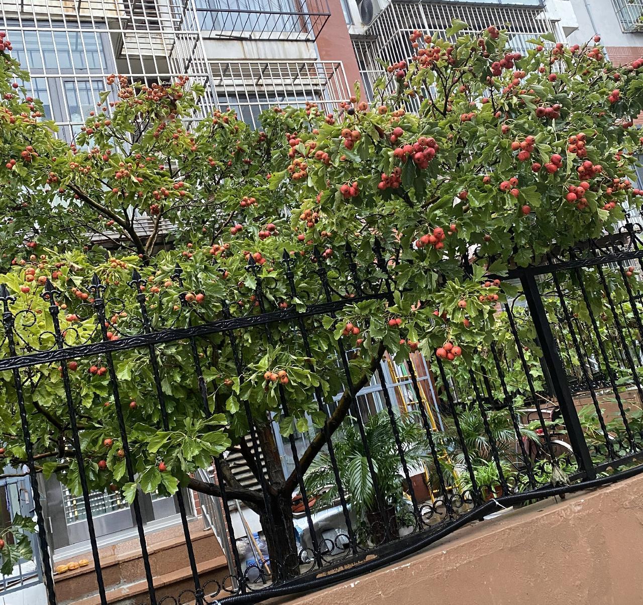 以前藏着掖着不敢说
自己是农村的，
怕别人投来异样眼光，
发动态都刻意避开
老家