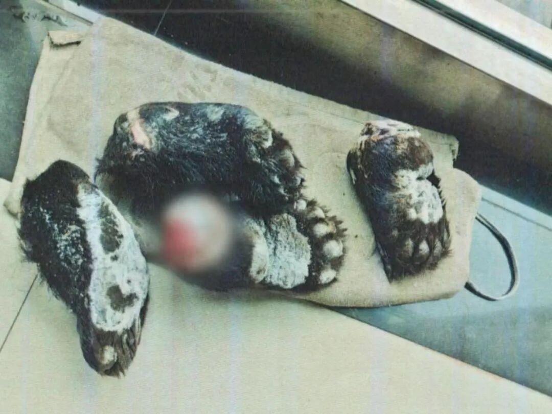 “真是无知者无畏！”上海崇明，男子为了拉拢人情、给朋友撑场面，特意托人从外地购入