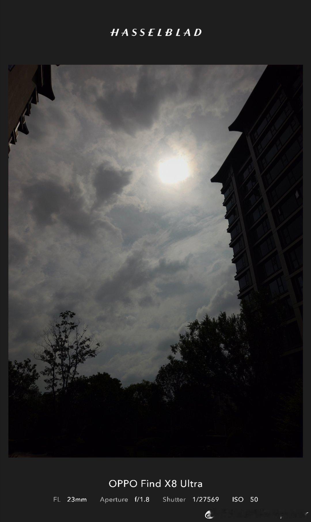 嗯？开太阳了这台风感觉拉了一坨大的💩毫无压力台风巴威