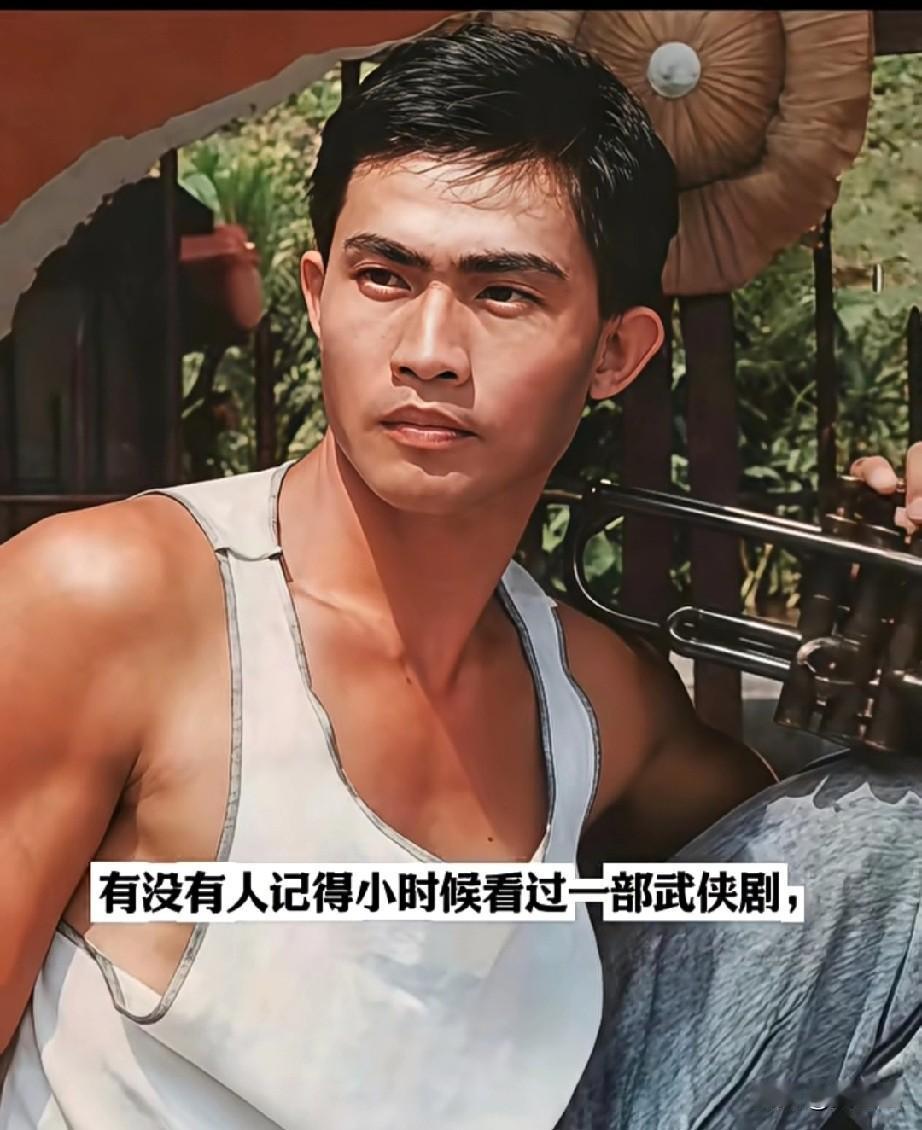 有没有人记得小时候看过一部武侠剧，里面有范文芳？突然想起好像还有个很帅的男主，一