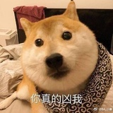 小崽崽爱看健康