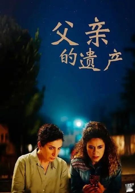 看了电影父亲的遗产，我没想到巴勒斯坦能拍出这么好的电影。 影片大量巴勒斯坦人民生