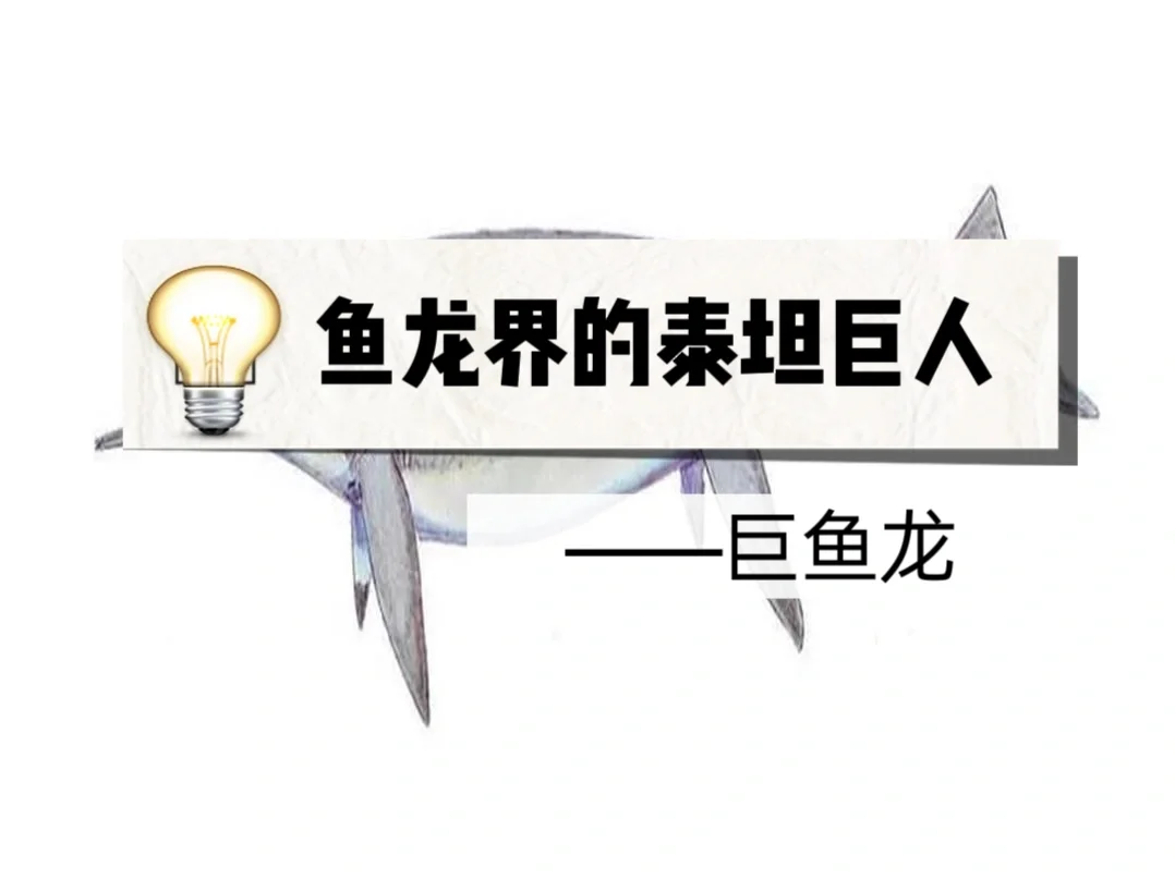 鱼龙界的泰坦巨人