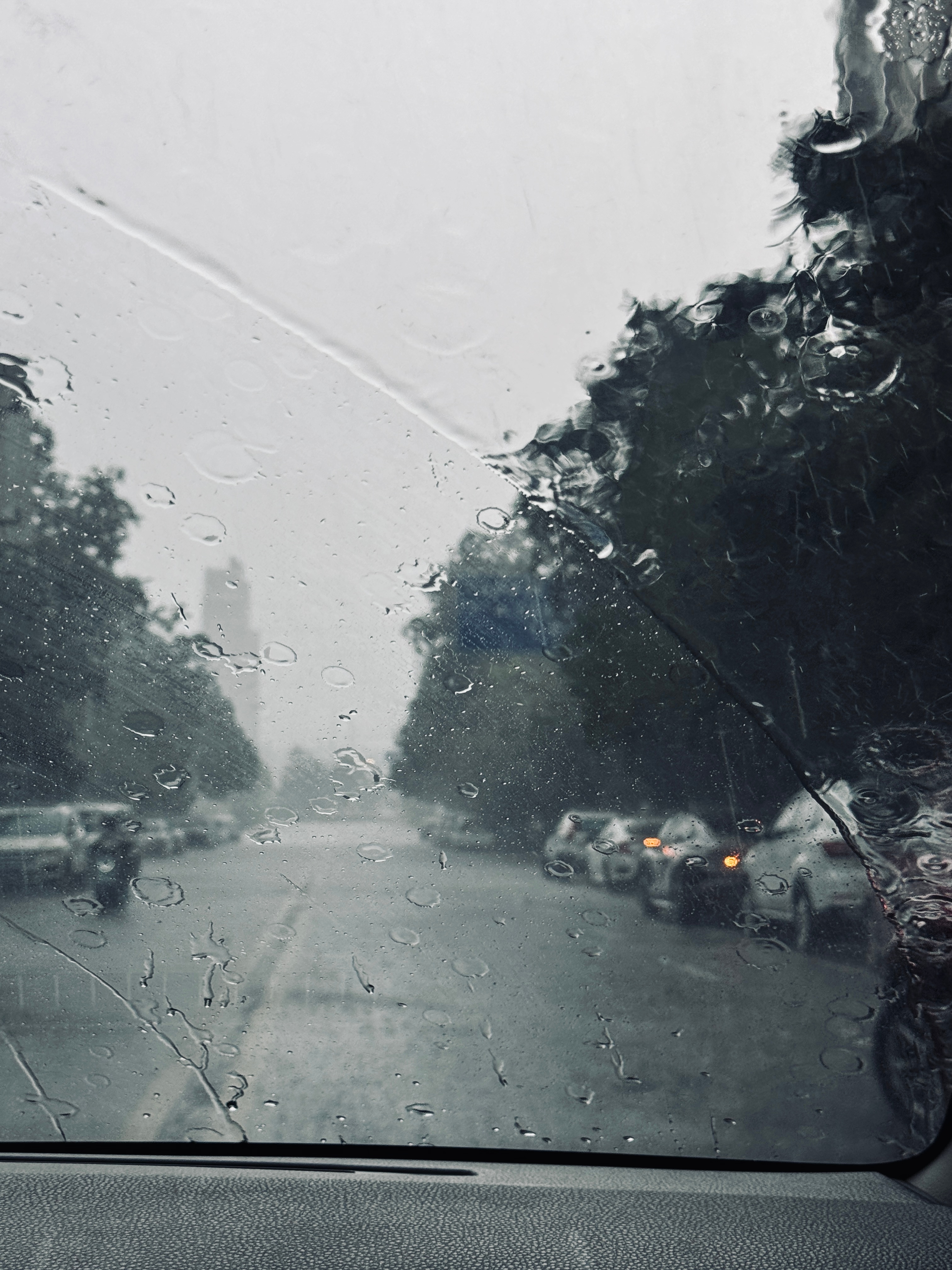 刚拍完照就下了暴雨🌫️ ​​​