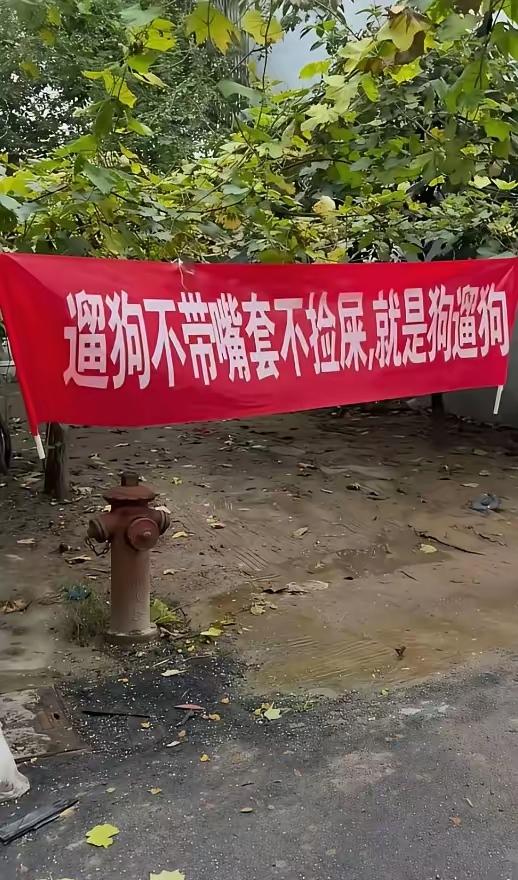 小区挂这个合适吗？这不是骂人吗！