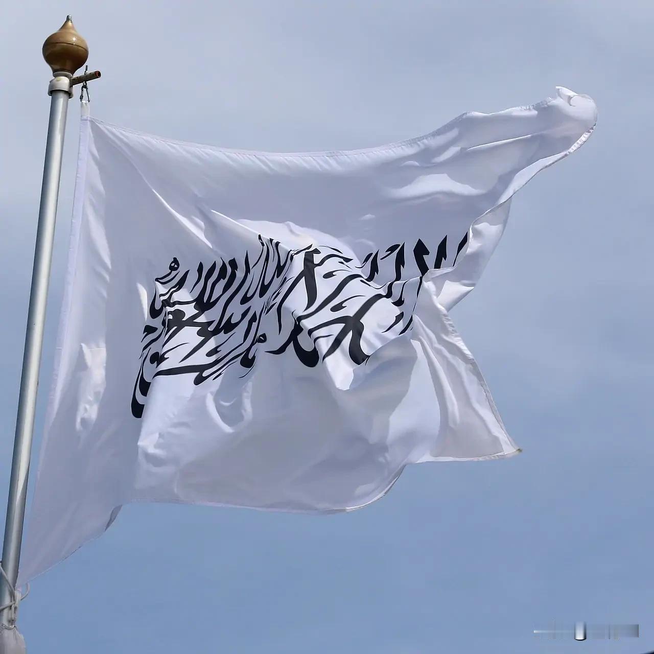 2026年8月15日俄新社消息
阿富汗塔利班政权外长穆塔基公开向美国释放合作信号