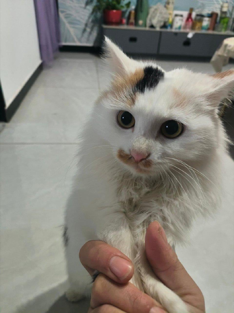 我不嫌弃你臭了，赶紧回来吧，不知道你还找得找不到回家的路😞😞😞😞😞😞