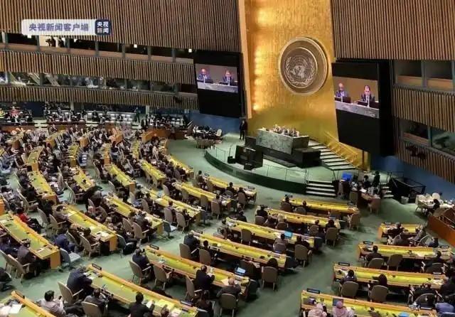 15票全票通过！联合国终于立下死规矩，中方把话彻底挑明：谁敢对维和部队下黑手，追