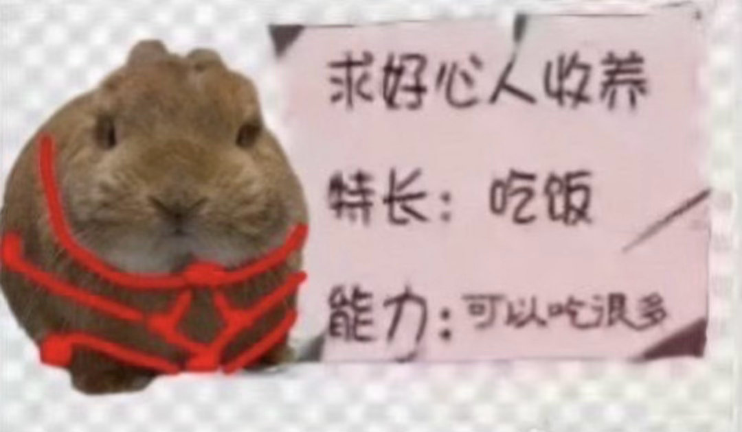 老花下次直播封面 