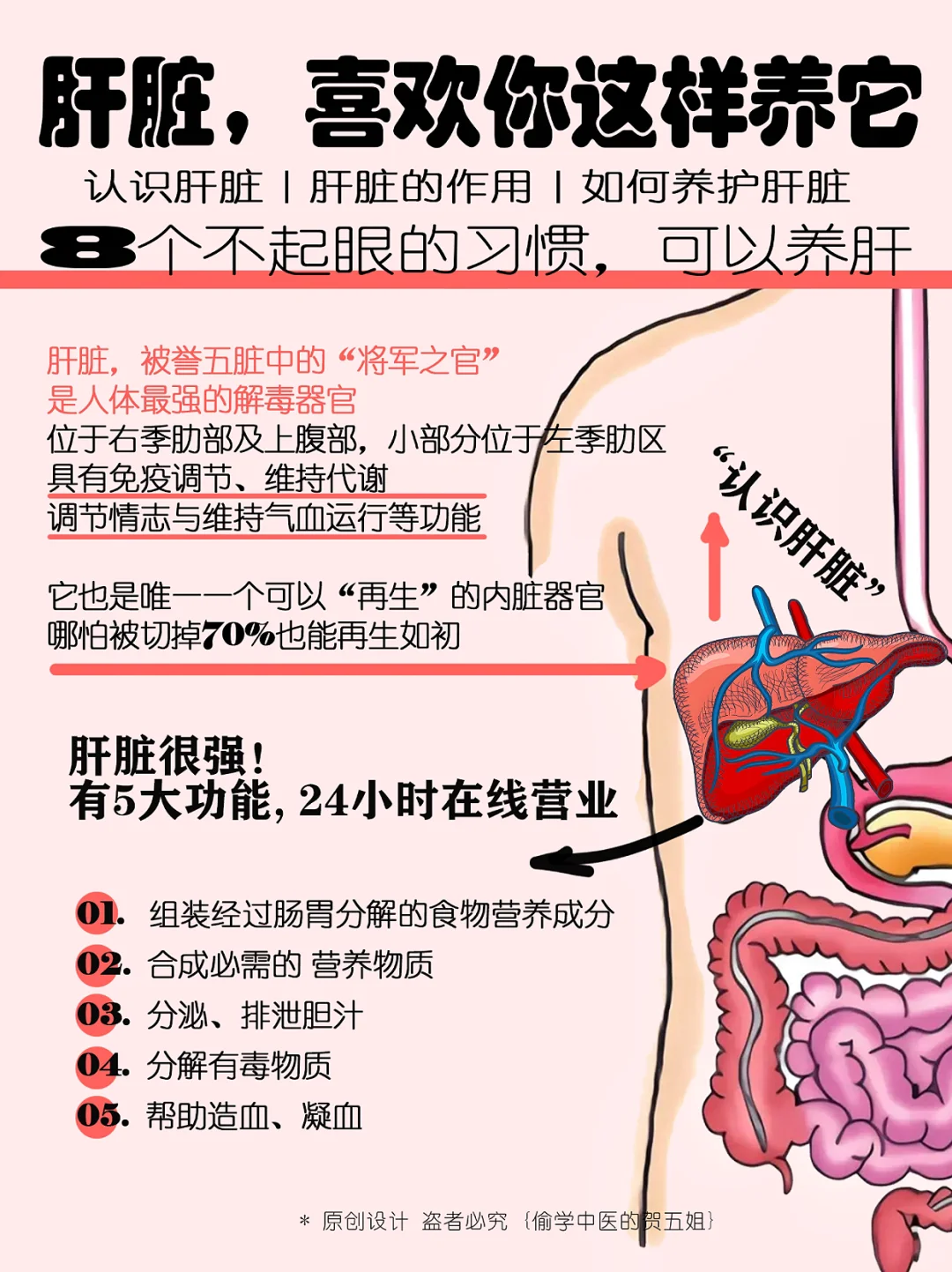 肝脏❗️喜欢你这样养它🔥超全的养肝攻略✅