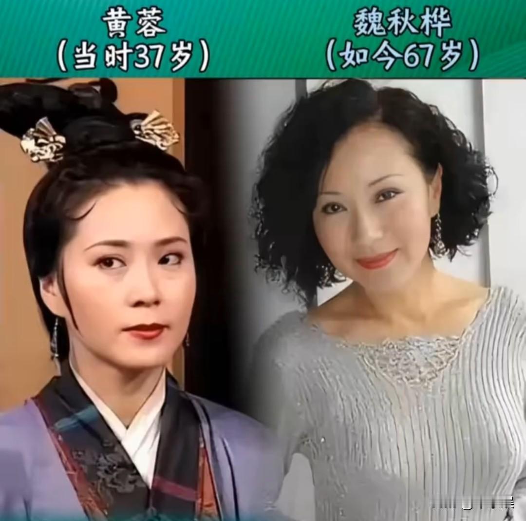 1995年的“神雕侠侣”演员今昔明星