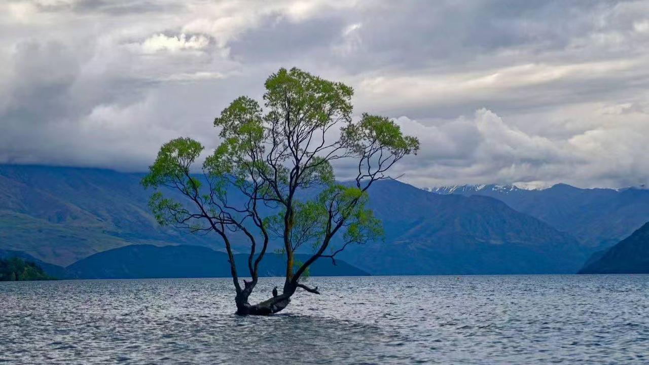 我的个人主页被官方推荐了，快来和我互动吧！