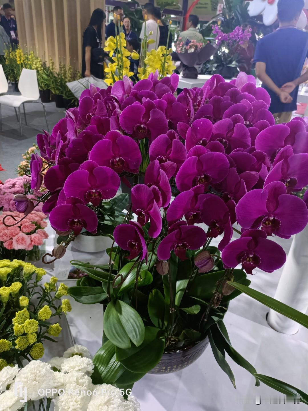 普通人能做的爱国行动：
中日开战的时候，国家让你正常上班
你就正常上班；国家让你