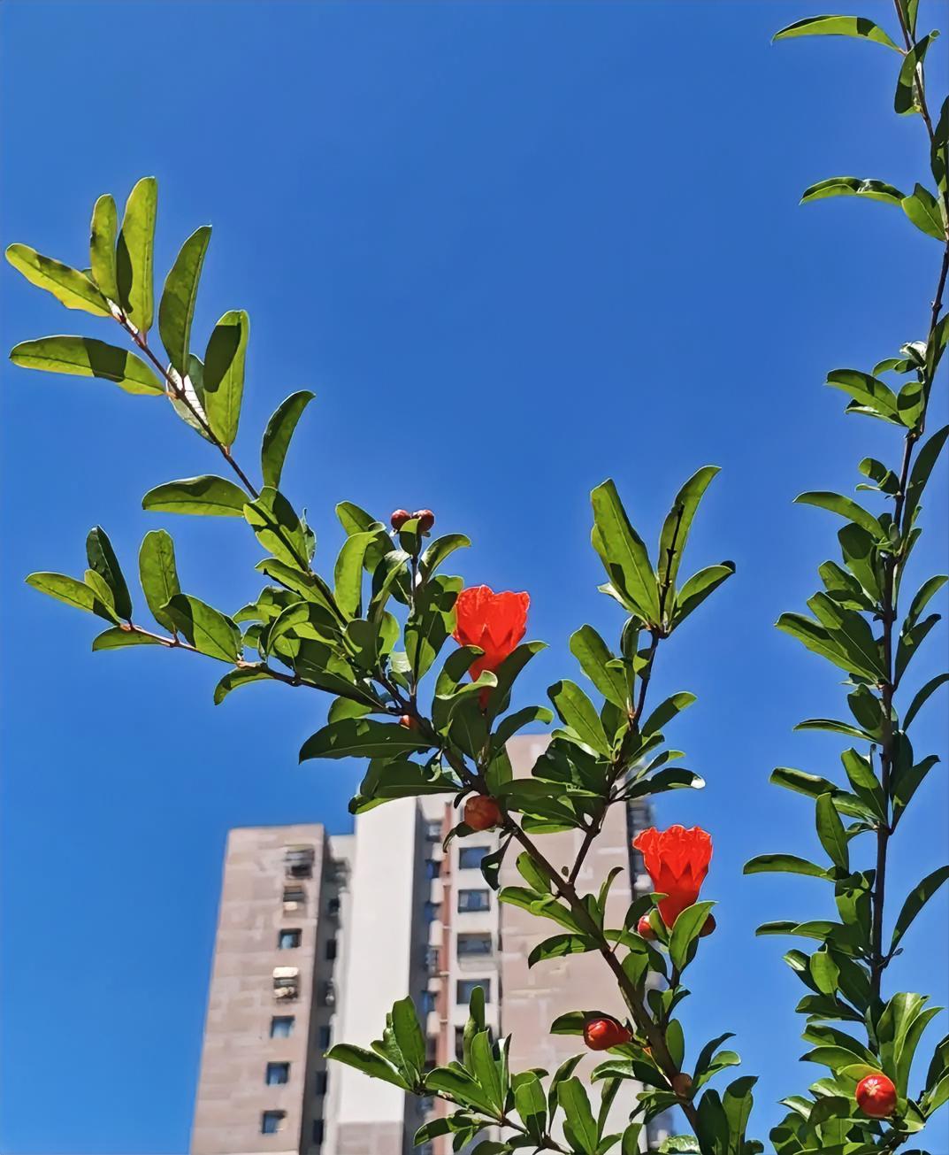 确实如此，所有的安稳日子，都是靠自己起早贪黑，忙忙碌碌，忍辱负重挣来的。所以，珍
