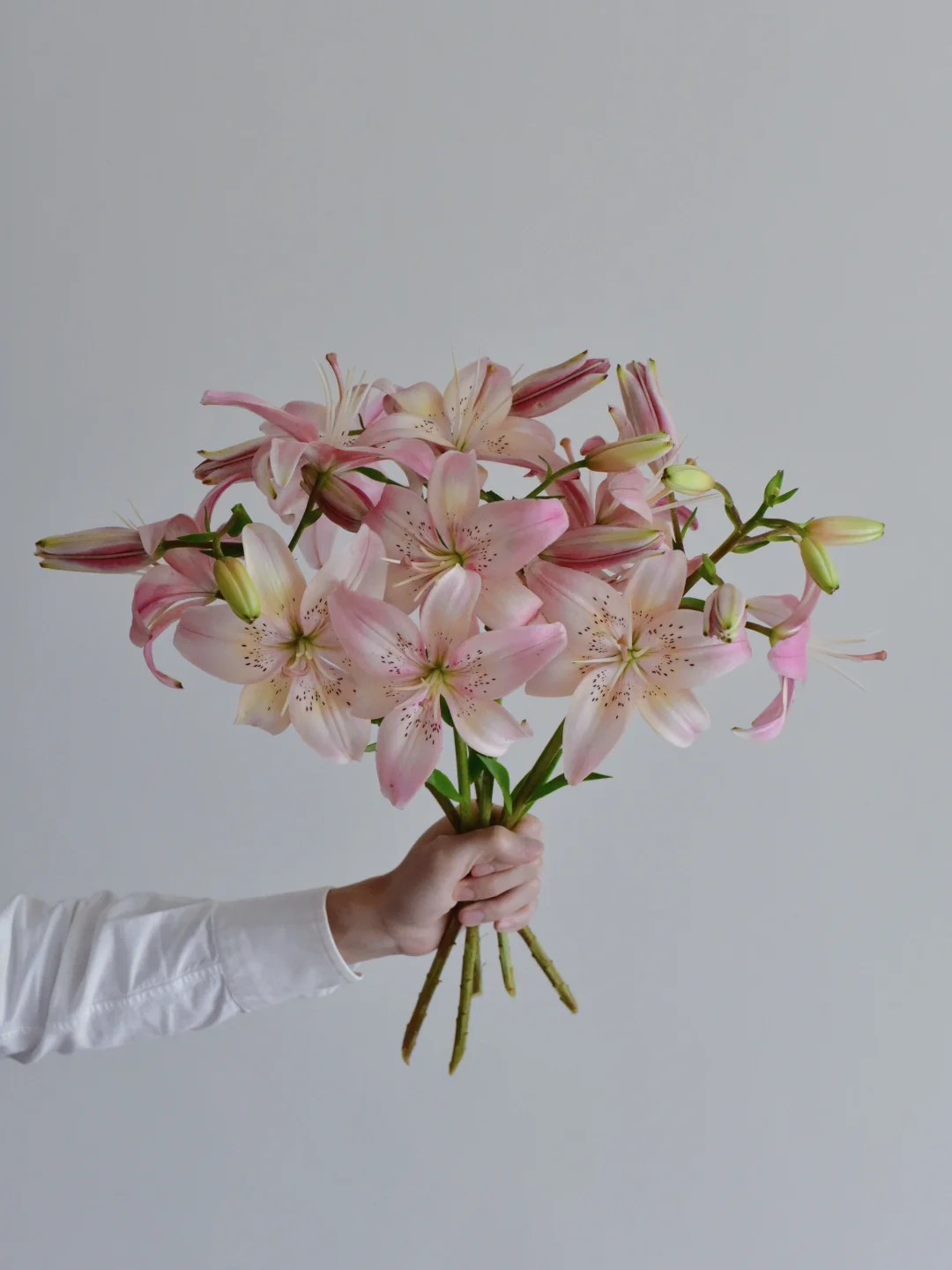 ENS FARM百合·玫瑰梦