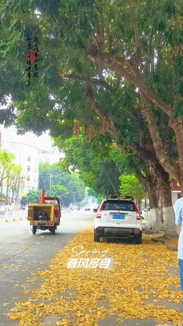 春色入怀来，花香扑面开。春风多自在，幸福乐开怀。一步一步向前迈，把所有烦恼都甩开