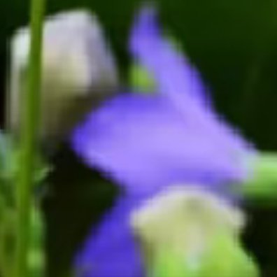 桔梗花的种植方法：一、土壤选择：桔梗花适宜生长在肥沃、疏松的土壤中。可以用腐叶土