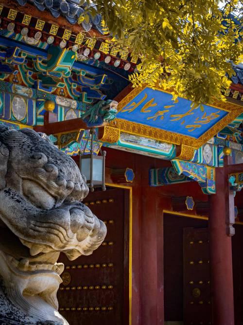 3月25日，辽宁检察机关依法向北京大学原副校长任羽中受贿案提起公诉，他曾获得北京