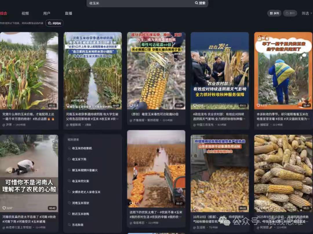 每年10月，北方的田野都弥漫着丰收的喜悦，农民们忙碌的身影成为乡村最温暖的风景线