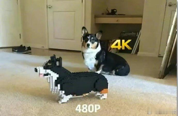 央视曝光盗版剧APP能不能也管管正版乱设门槛的问题，开通了VIP，还有SVIP，