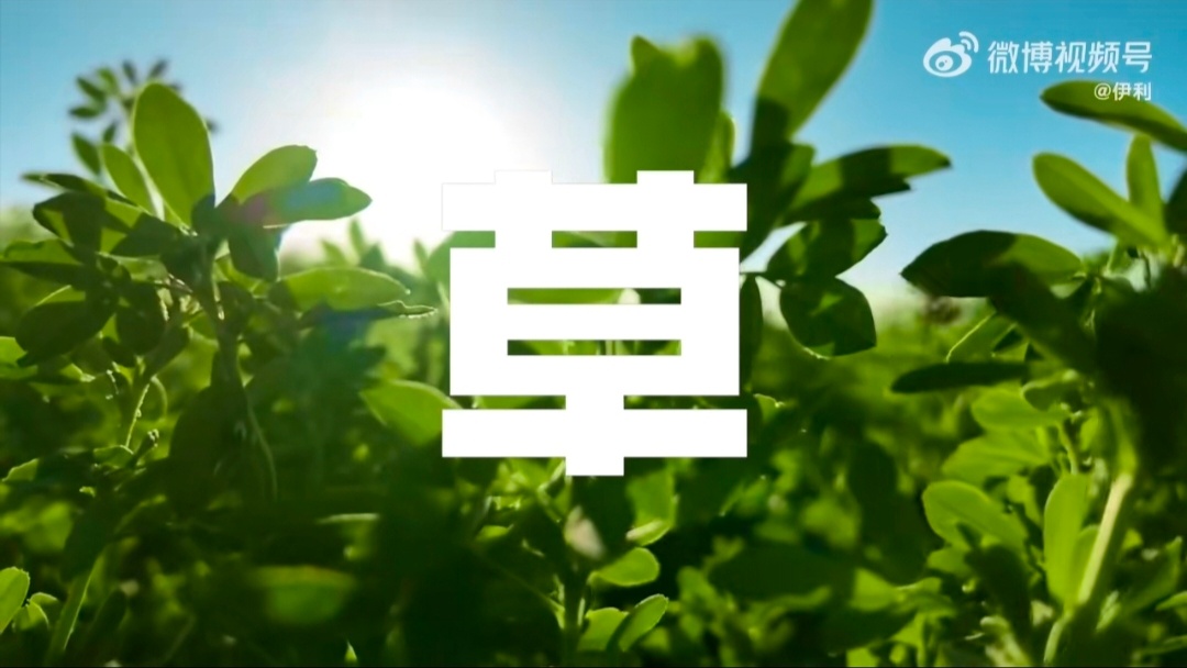 恍然大悟不是不爱看广告，是以前没出现爱看的电视剧里插播这样的广告也不是不行