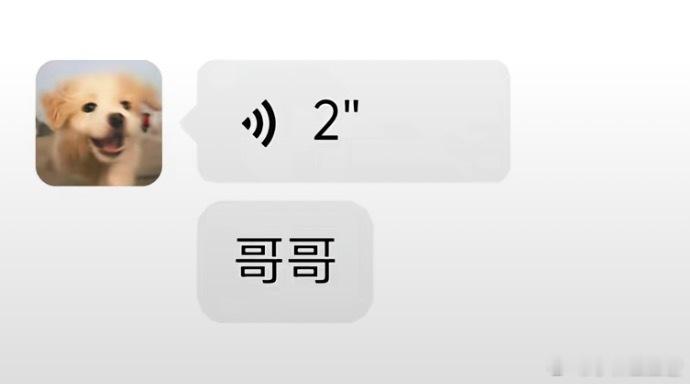 不知道为什么每次看到遮雨叫张吉哥哥心脏就要停跳一秒。。