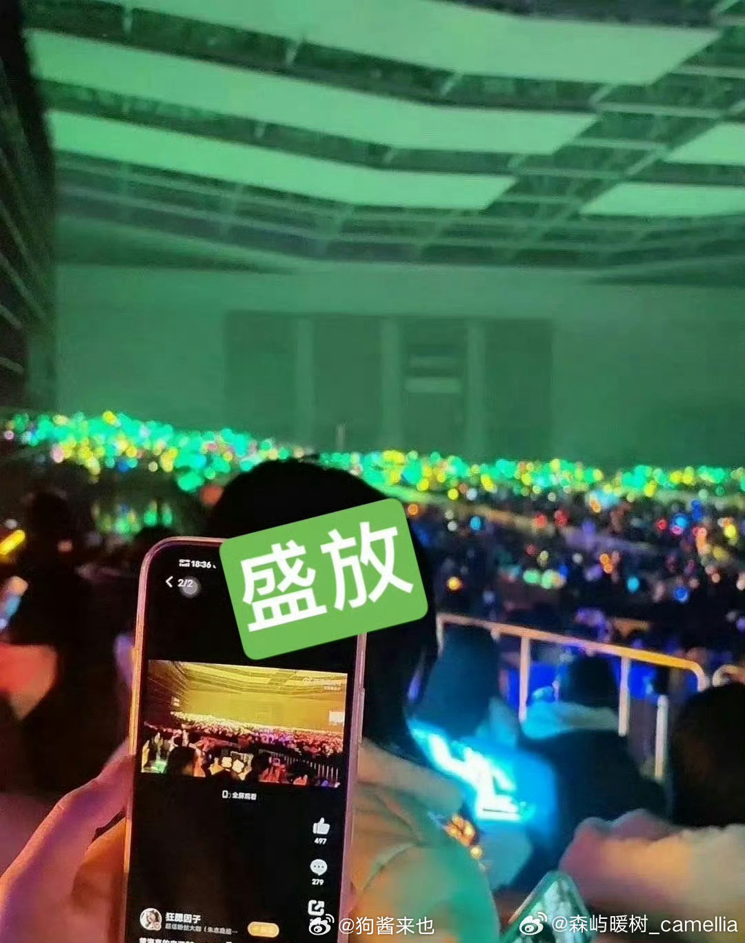 我没绷住 