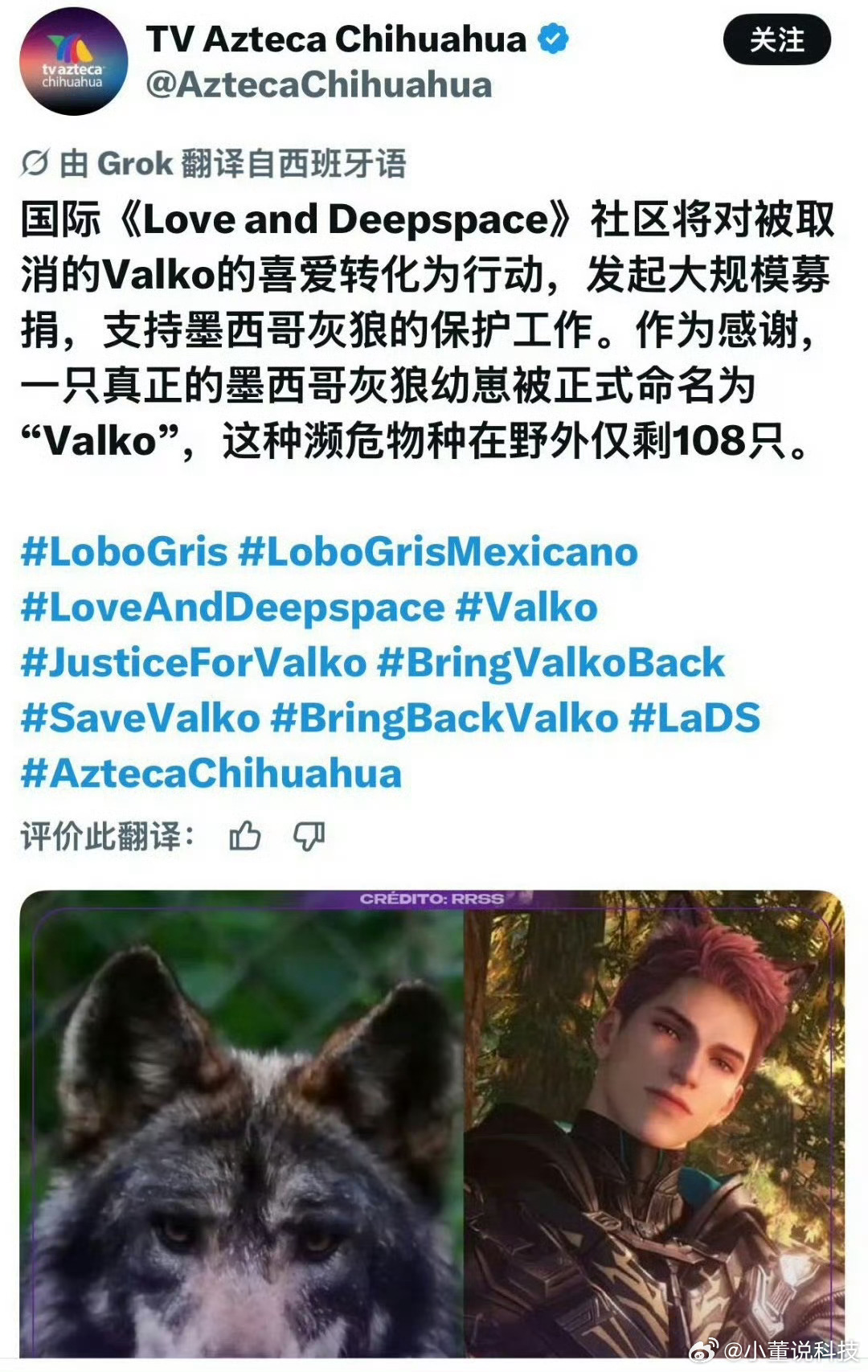 海内外玩家请愿恢复敖尹敖尹海外热度持续走高没想到敖尹下架之后，海内外请愿声还在继