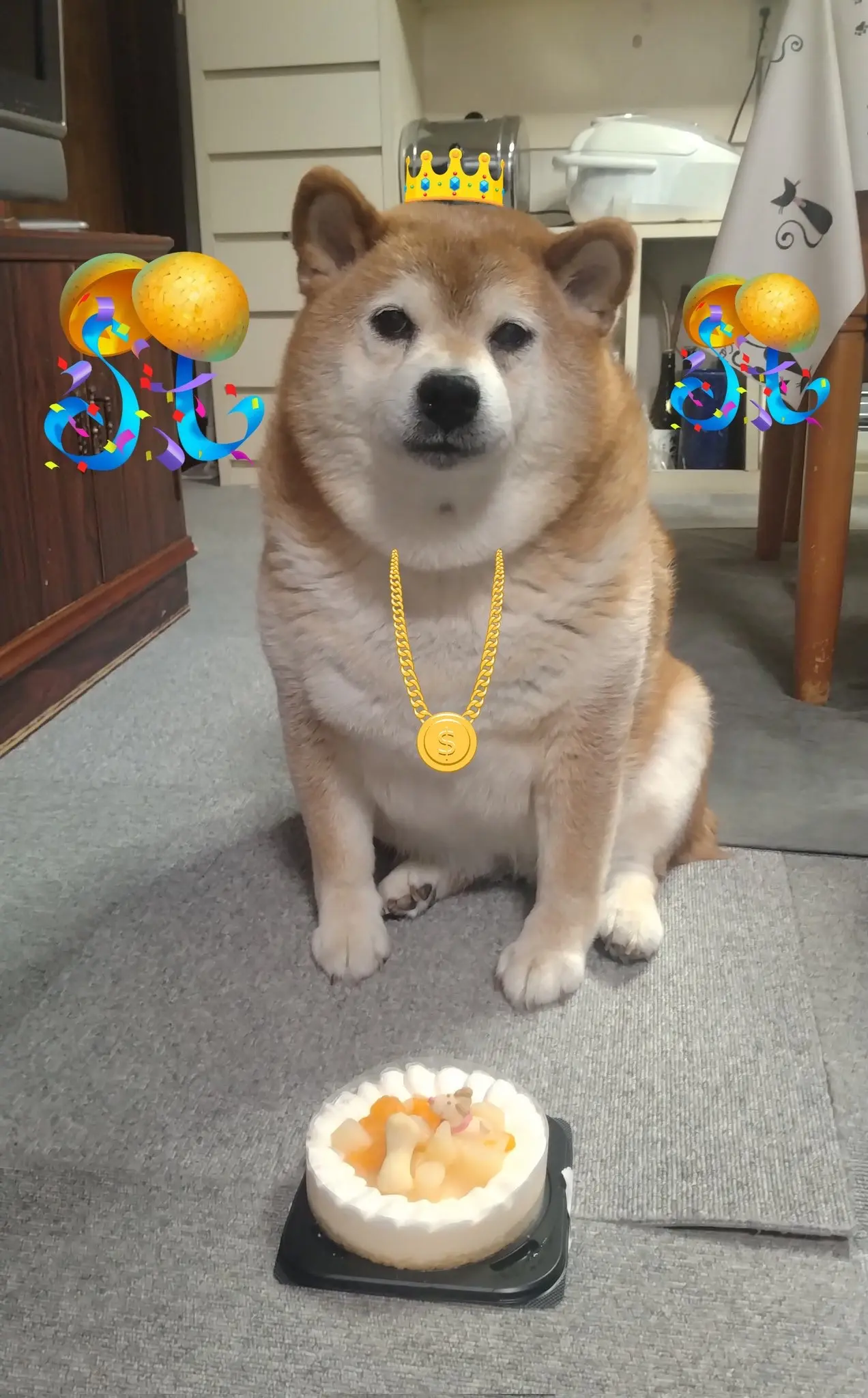 大佬对今天的安排不满意