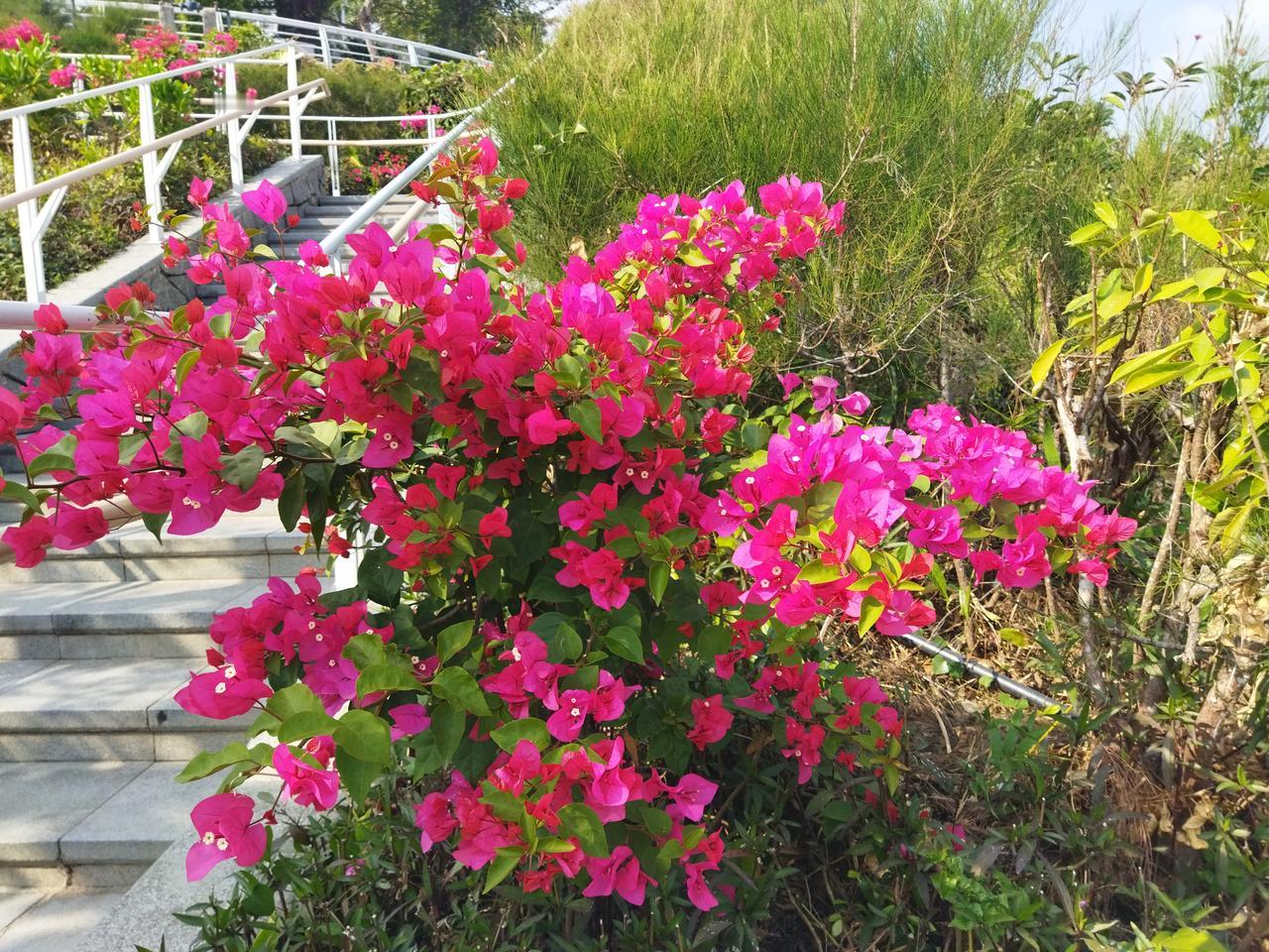 晒图笔记大赛一切都是最好的安排。