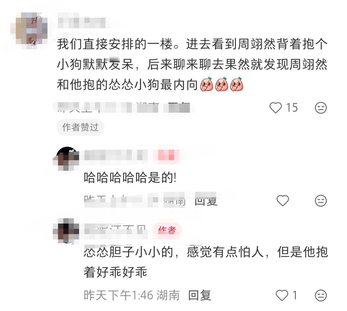 有点i的小🐶抱了一只更i的小🐶这画面一定很乖