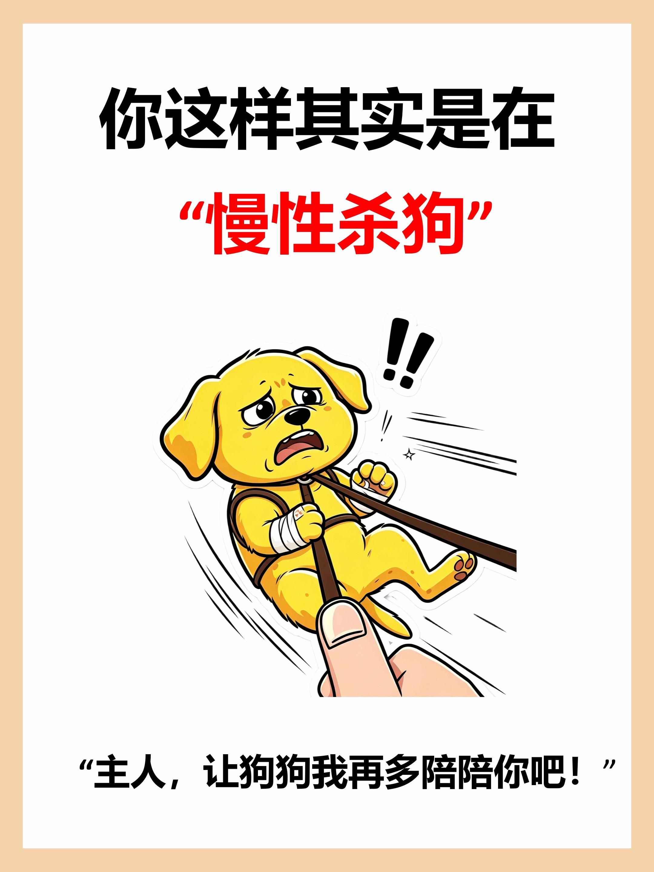 新手养狗，这些事千万要注意。