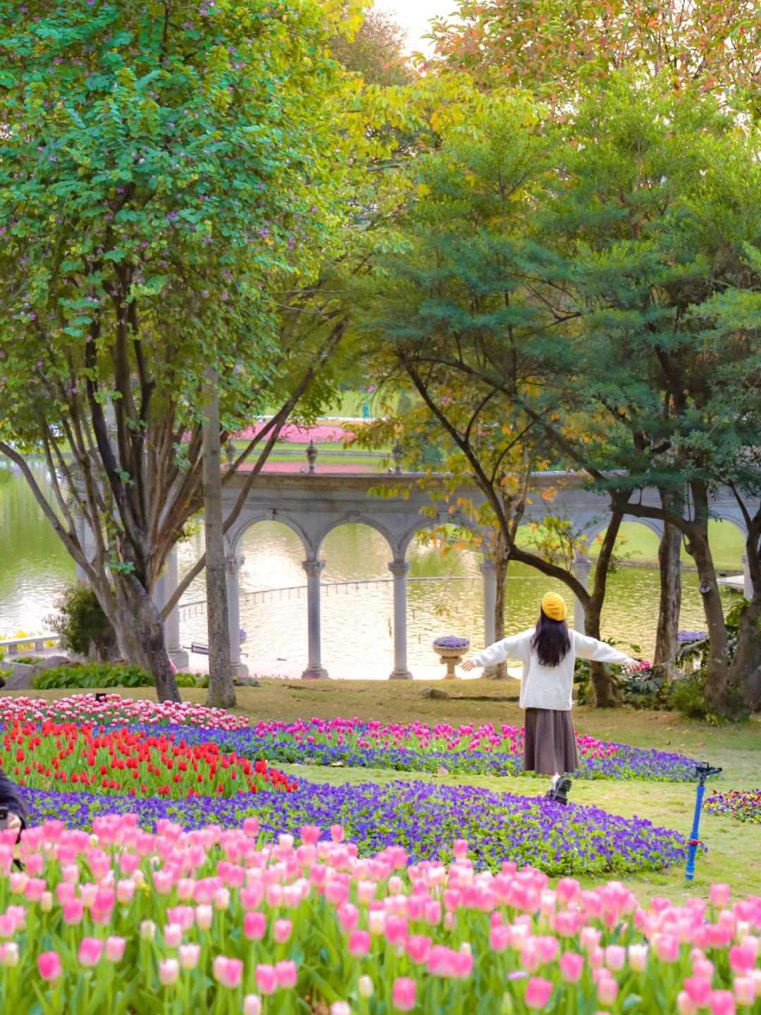 好美！这才是广州的莫奈花园🌷郁金香开啦‼️