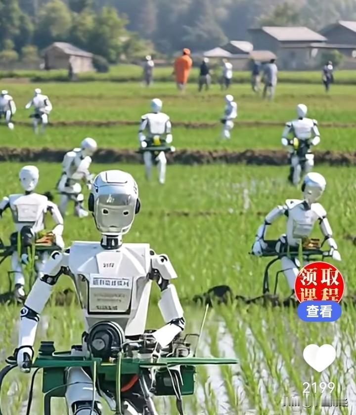 南方插秧以及水中种植，往往离不开人的劳作，但如果AI机器人被应用于劳动，农民是不
