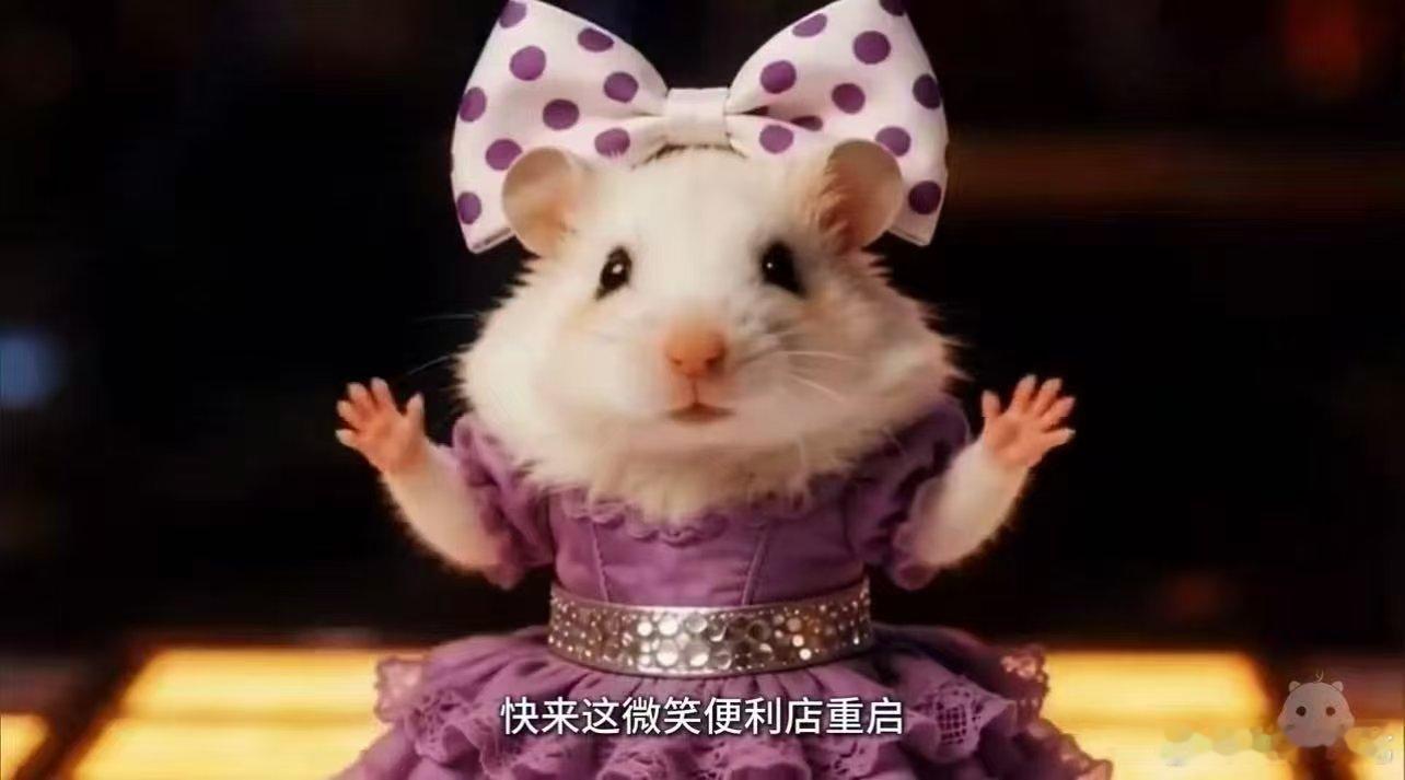 心愿便利贴传到动物界了乘风2026谁能拒绝动物版心愿便利贴，简单的心愿，软萌的模