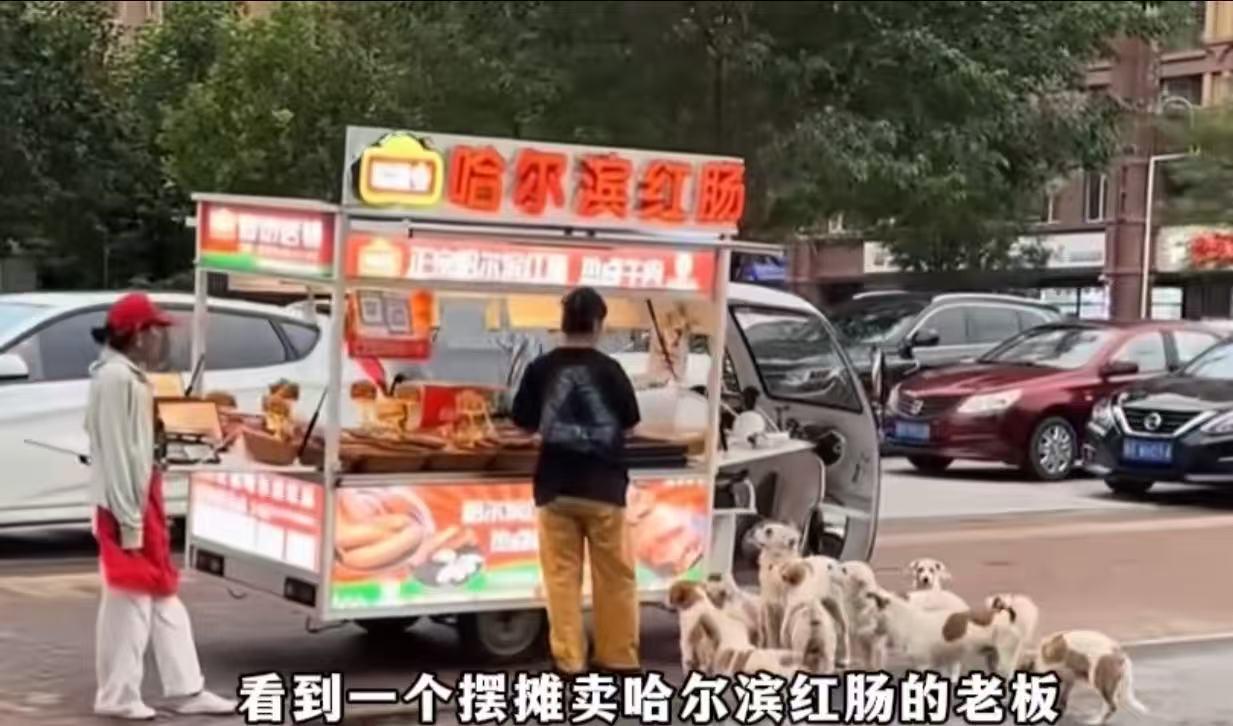 这真的是“有舍就有得”！一个美女摆摊卖哈尔滨红肠，随手喂了流浪狗一口，结果一狗传