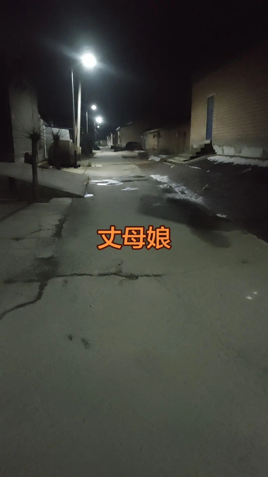 乡村夜道