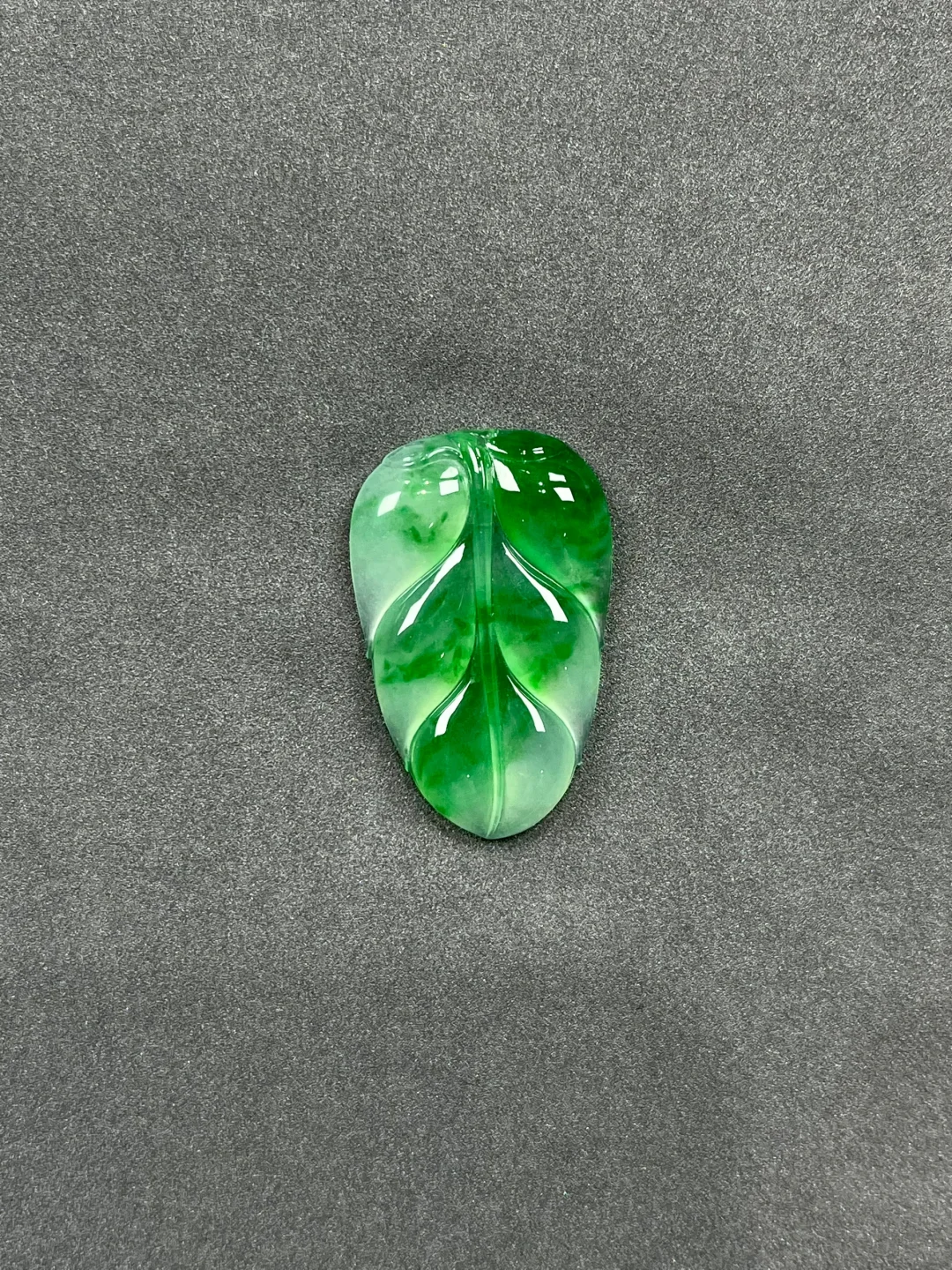 金丝绿 真的是金枝玉叶🍃